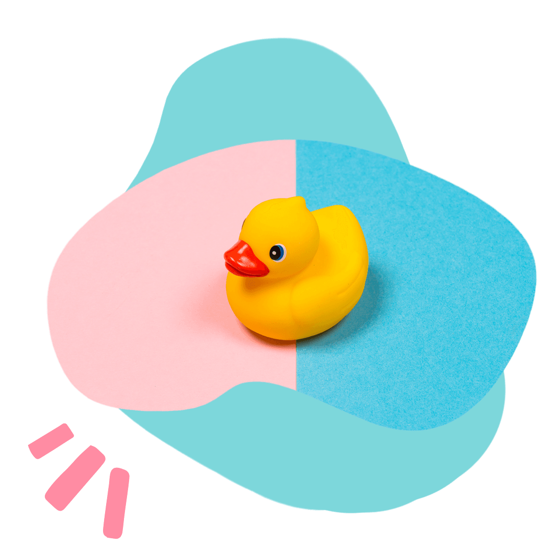 Gender duck