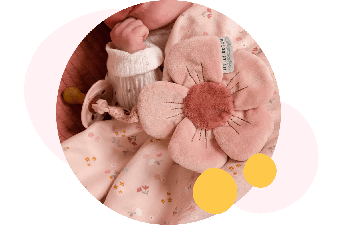 Pink Flowers & Butterflies Comforter with Dummy Holder
