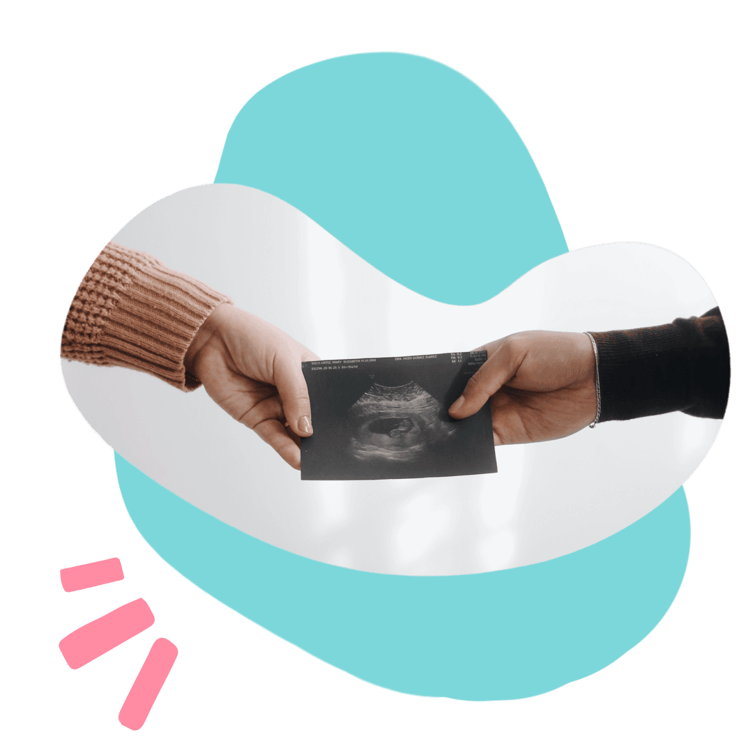 Pregnancy scan