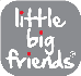 Little Big Friends