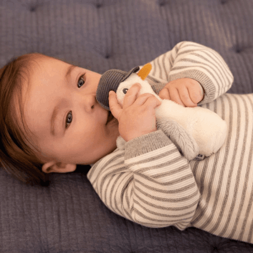 little-dutch-1