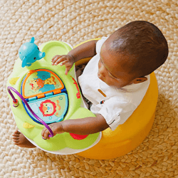 Image showing the Baby Seat Activity Tray, Multi product.