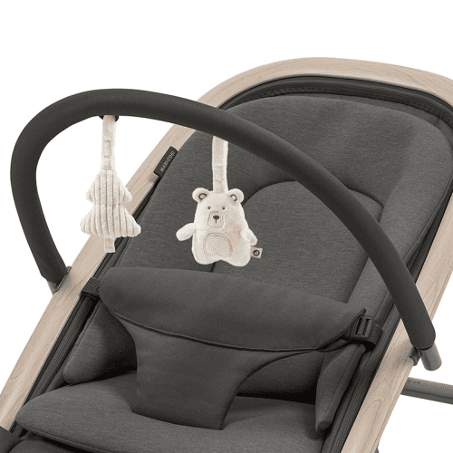 maxi-cosi-2