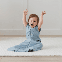 Image showing the All Year Jersey Sleeping Bag 1.0 TOG 3 - 12 Months, Dragonflies product.