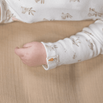 Image showing the Baby Bunny Long Sleeve Bodysuit, 4 - 6 Months, White product.