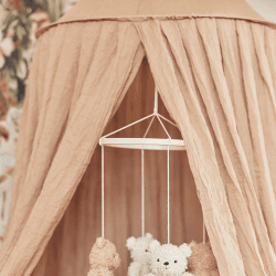Image showing the Canopy, Biscuit product.