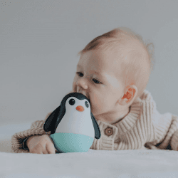 Image showing the Penguin Wobble Toy, Soft Mint product.