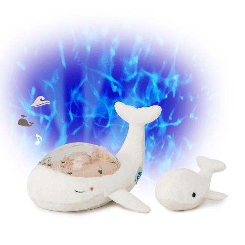cloud-b-4
