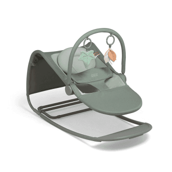 Image showing the Tempo 2 in 1 Baby Bouncer and Rocker, Ivy product.