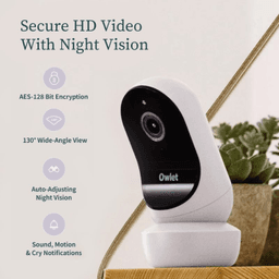 owlet-thumbnail-5