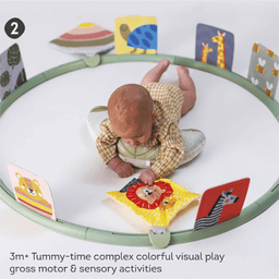 taf-toys-thumbnail-7