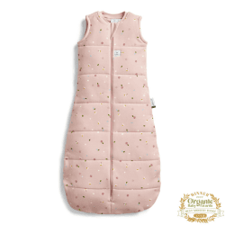Image showing the Winter Jersey Sleeping Bag 2.5 TOG 3 - 12 Months, Daisies product.