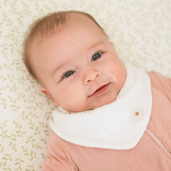 Image showing the 2 Pack Bandana Bibs, Daisy & Greenery product.