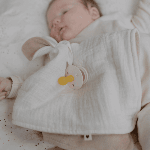 bibs-1