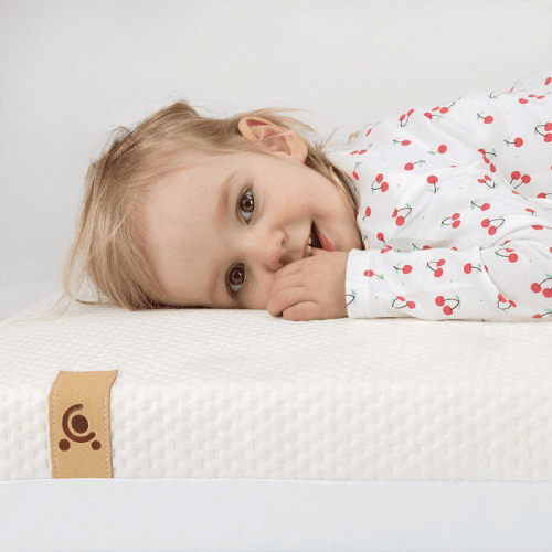 cuddleco-2