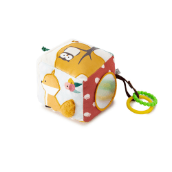 Image showing the Forest Activity Cube product.