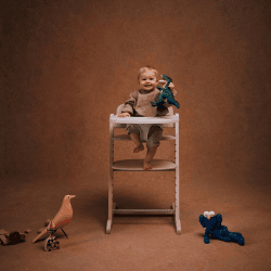 Image showing the Iris 3-in-1 Highchair Set, All Natural product.