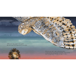 Image showing the Arlo The Lion Who Couldnt Sleep product.