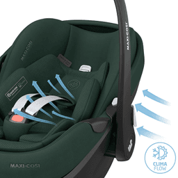 maxi-cosi-thumbnail-8