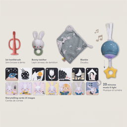 taf-toys-thumbnail-1