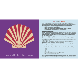 Image showing the Sea (Look Touch Learn) product.