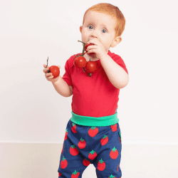 Image showing the Basic Organic Cotton Short Sleeved Bodysuit, 3 - 6 Months, Red product.