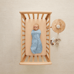 Image showing the Cocoon Swaddle Sleeping Bag 0.2 TOG 0 - 3 Months, Dragonflies product.
