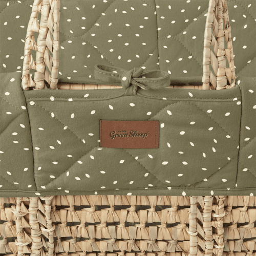 the-little-green-sheep-2