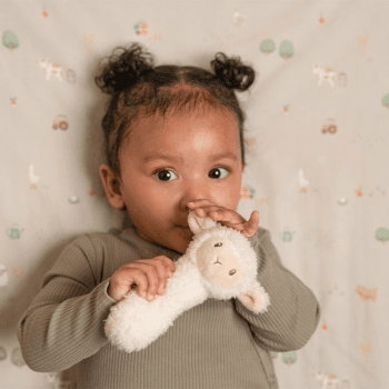 Image showing the Little Farm Sheep Rattle product.