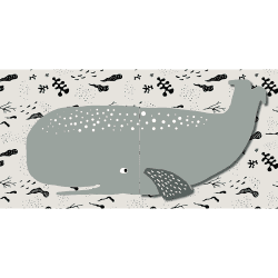 Image showing the Peekaboo Ocean product.