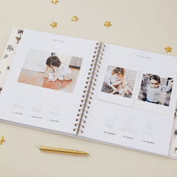 blush-and-gold-thumbnail-6
