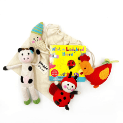 Image showing the What The Ladybird Heard Story Sack Gift Set product.