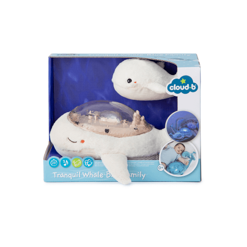 cloud-b-7