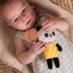 Image showing the Pamela Panda Activity Toy product.