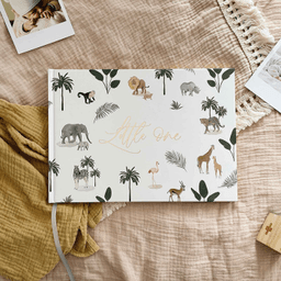 blush-and-gold-thumbnail-6