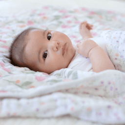 aden-anais-thumbnail-1