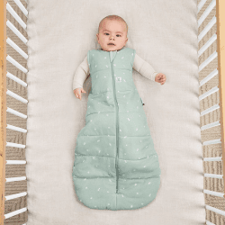 Image showing the Winter Jersey Sleeping Bag 2.5 TOG 3 - 12 Months, Sage product.