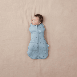 Image showing the Winter Cocoon Swaddle Sleeping Bag 2.5 TOG, 0 - 3 Months, Dragonflies product.