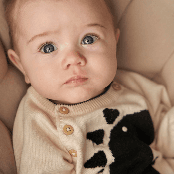 Image showing the Knitted Dino Jumper, 0 - 3 Months, Natural White product.