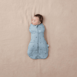 Image showing the All Year Cocoon Swaddle Sleeping Bag 1.0 TOG Newborn, Dragonflies product.