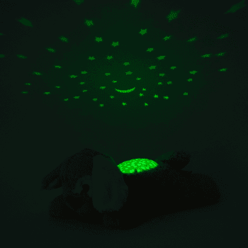 Image showing the Dream Buddies Star Projector Night Light, Brown product.