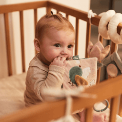 Image showing the Soft Pram Book, Lovely Birds product.
