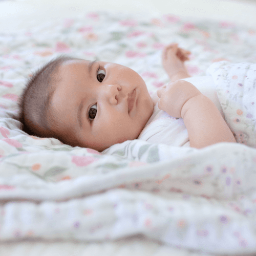 aden-anais-1