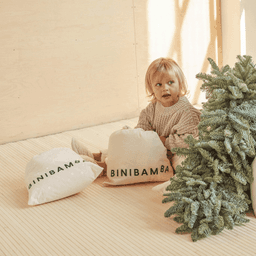 binibamba-thumbnail-4