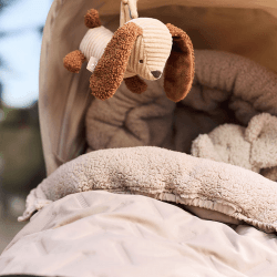 Image showing the Diego the Dog Pram Toy product.