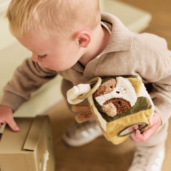 Image showing the Activity Cube, Tiny Park product.
