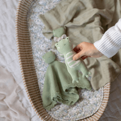 Image showing the Friendly Frog Little Hands Toy, Green product.