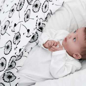 Image showing the Dandelion XL Sensory Organic Cotton Muslin Square, 120 x 120cm, Black & White product.