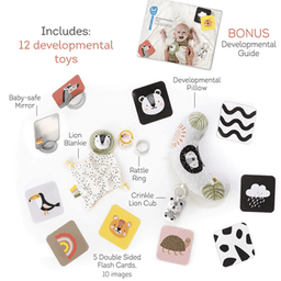 taf-toys-thumbnail-7