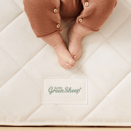 the-little-green-sheep-thumbnail-5